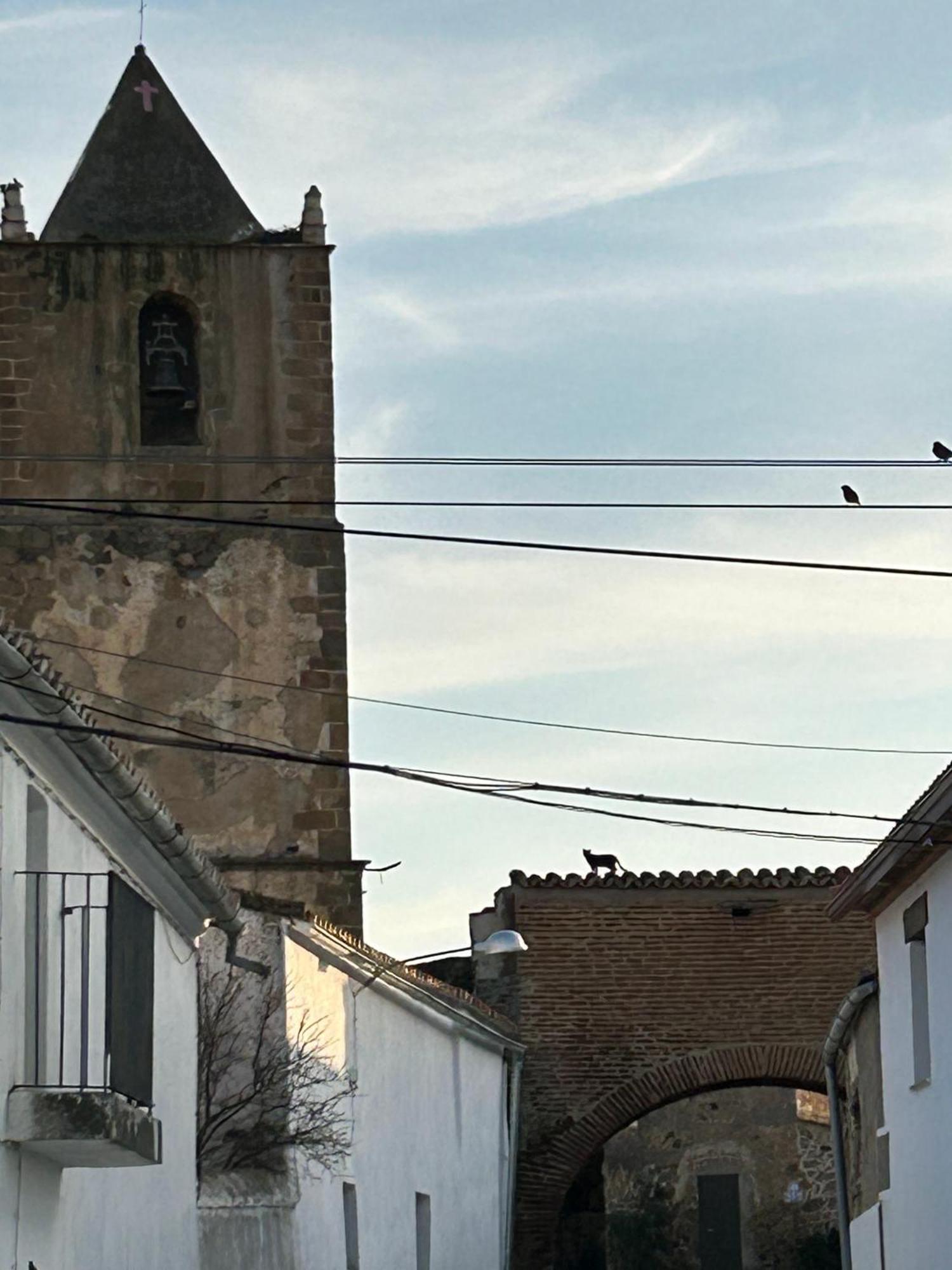 Casa Rural La Manzanilla Salvatierra de Santiago Dış mekan fotoğraf
