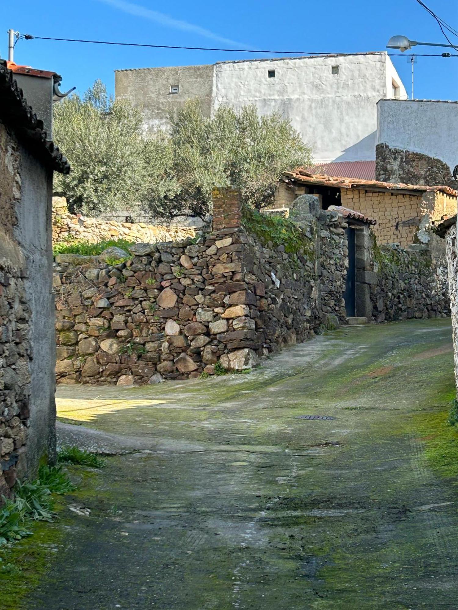 Casa Rural La Manzanilla Salvatierra de Santiago Dış mekan fotoğraf