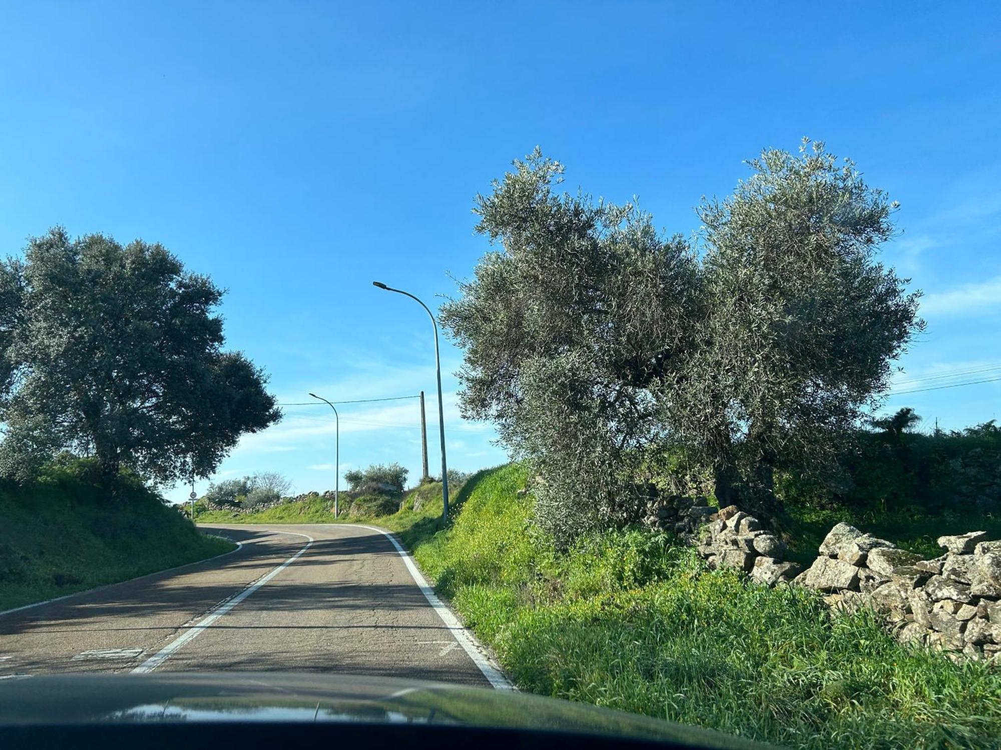 Casa Rural La Manzanilla Salvatierra de Santiago Dış mekan fotoğraf